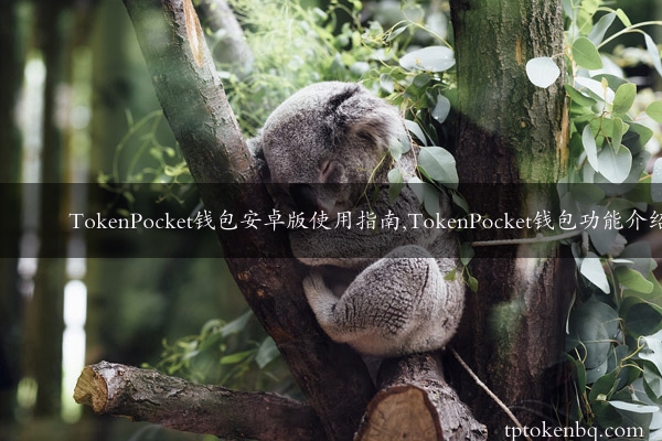 TokenPocket钱包安卓版使用指南,TokenPocket钱包功能介绍