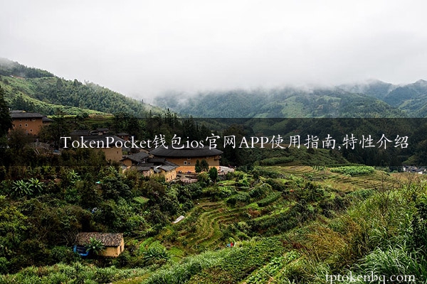 TokenPocket钱包ios官网APP使用指南,特性介绍