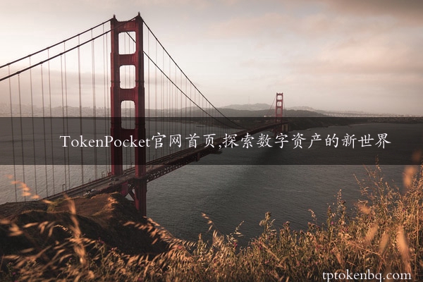 TokenPocket官网首页,探索数字资产的新世界