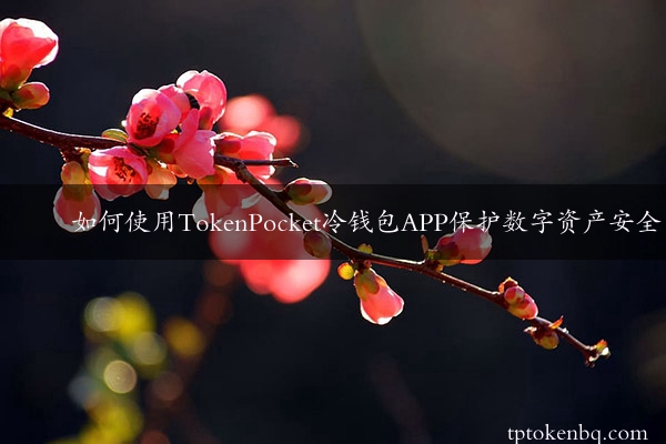 如何使用TokenPocket冷钱包APP保护数字资产安全