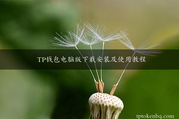 TP钱包电脑版下载安装及使用教程