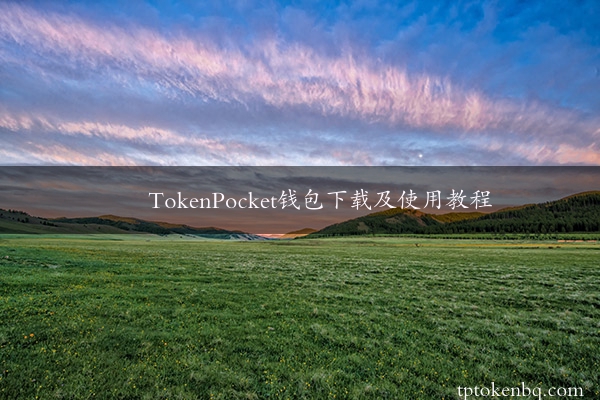 TokenPocket钱包下载及使用教程