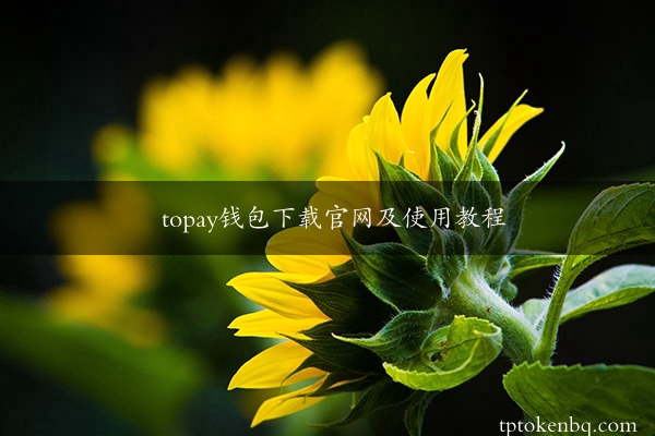 topay钱包下载官网及使用教程