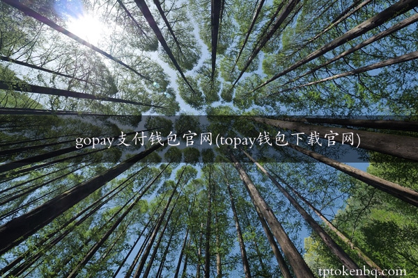 gopay支付钱包官网(topay钱包下载官网)